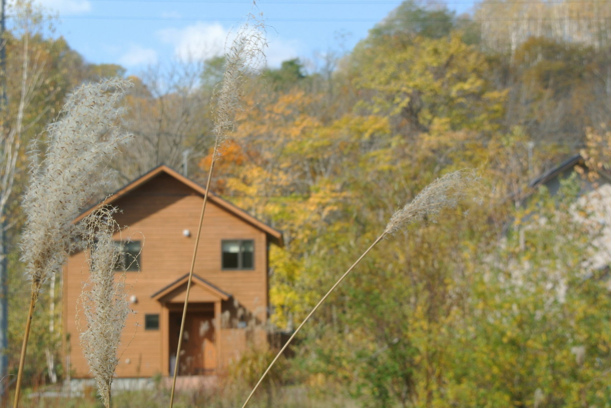 新雪谷乡村度假村 * 倶知安町