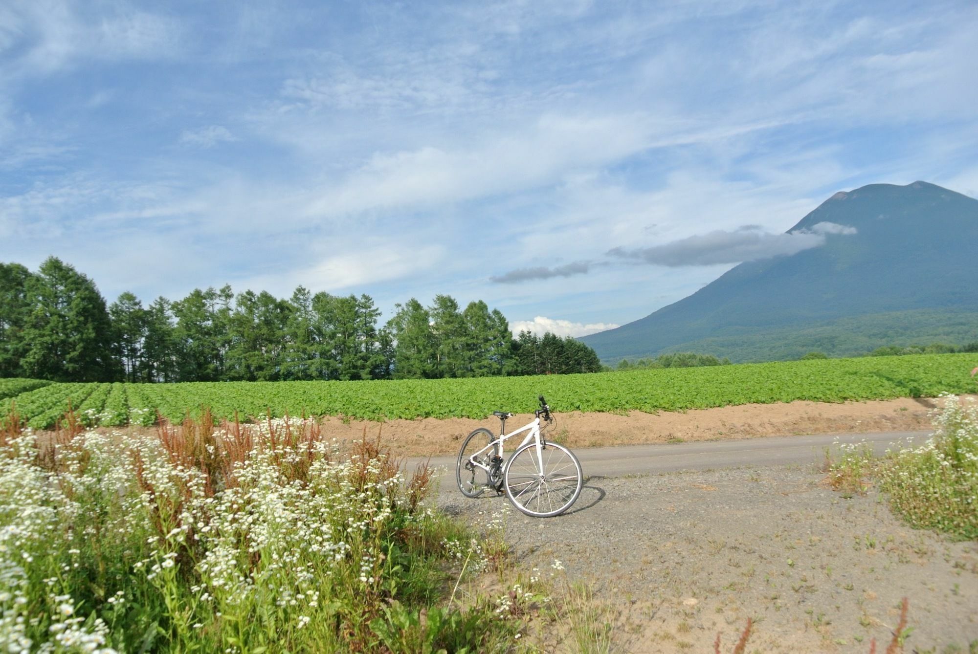 Country Niseko Holiday home